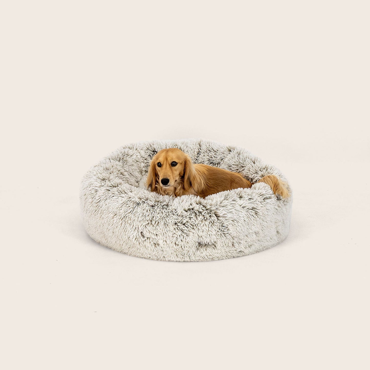 Calming Cuddler Dog Bed