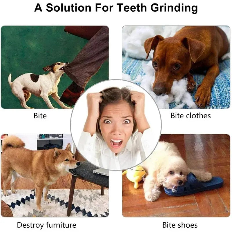 Interactive and non-toxic toy ball for dogs and cats.