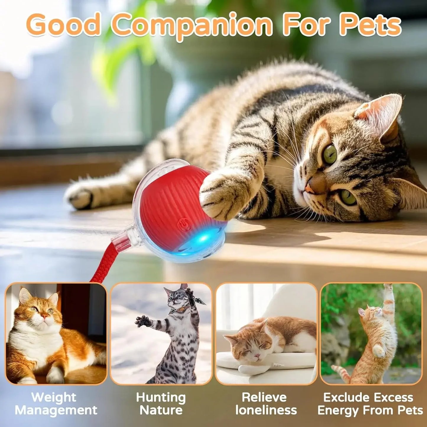 Interactive Pet Ball for Cats, Automatic Smart Spinning Ball