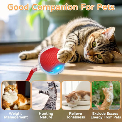 Interactive Pet Ball for Cats, Automatic Smart Spinning Ball