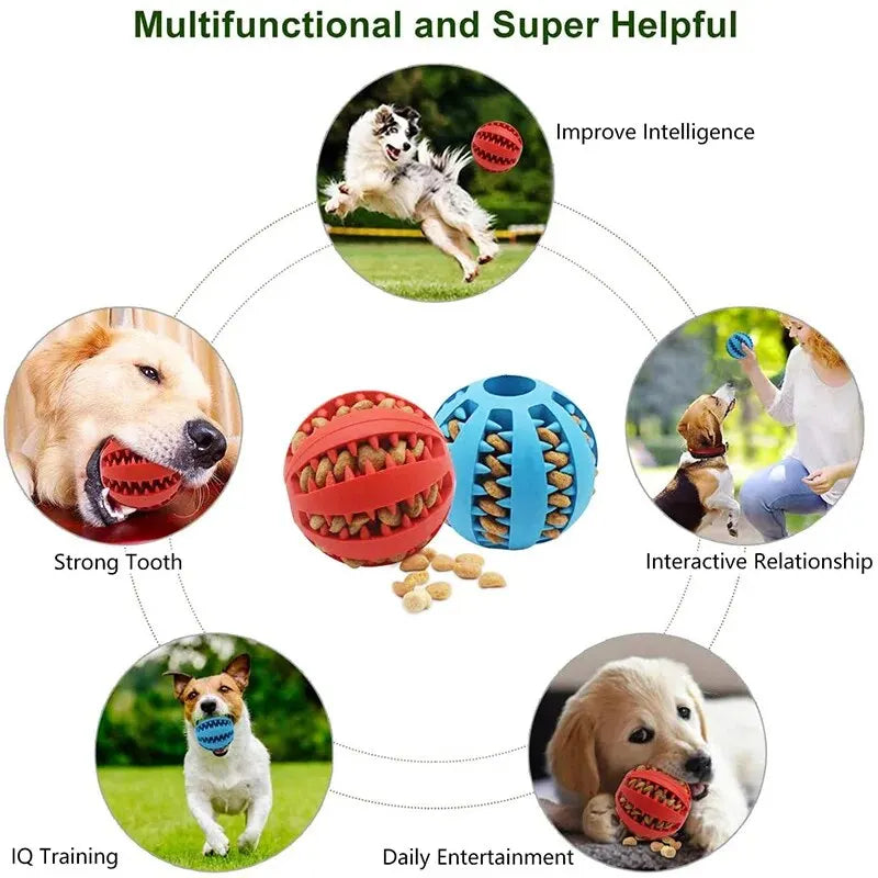 Interactive and non-toxic toy ball for dogs and cats.