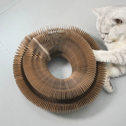 FamPets™ FlexiPlay Cat Scratcher & Lounge