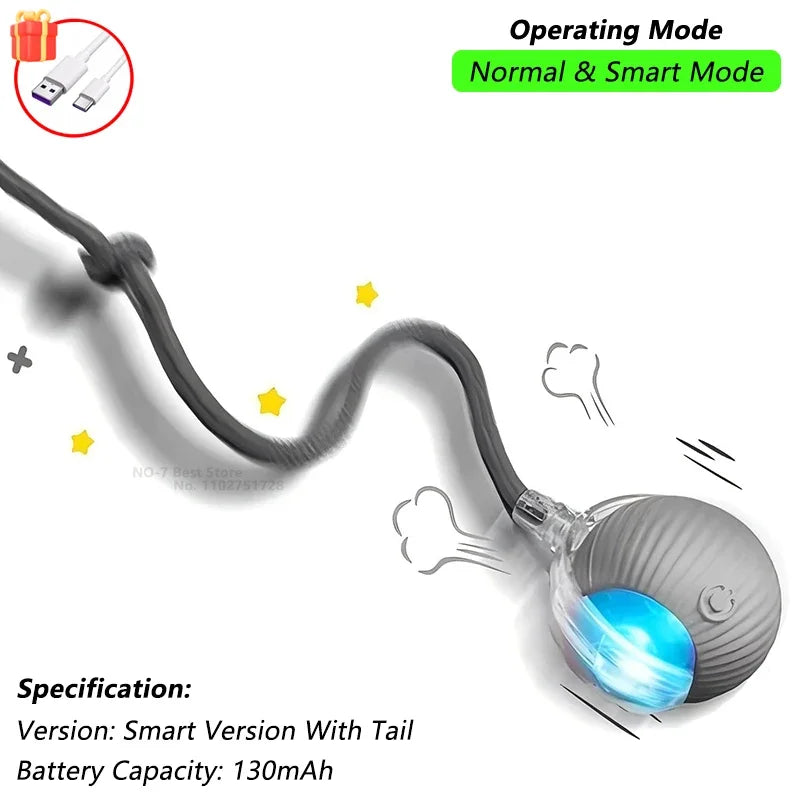 Interactive Pet Ball for Cats, Automatic Smart Spinning Ball