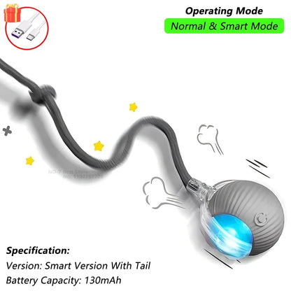 Interactive Pet Ball for Cats, Automatic Smart Spinning Ball