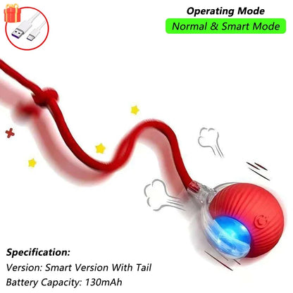 Interactive Pet Ball for Cats, Automatic Smart Spinning Ball