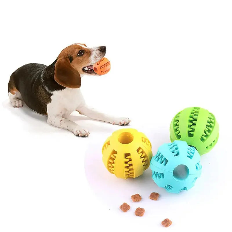 Interactive and non-toxic toy ball for dogs and cats.