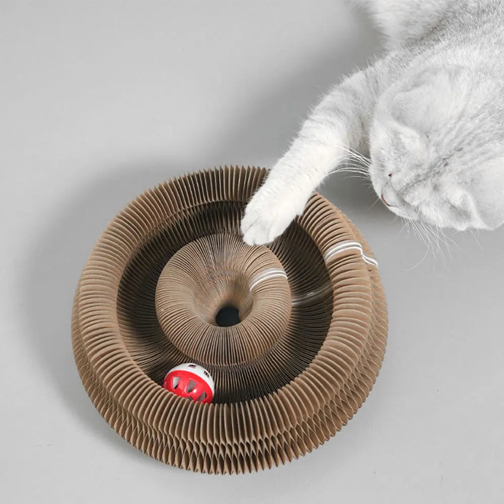 FamPets™ FlexiPlay Cat Scratcher & Lounge