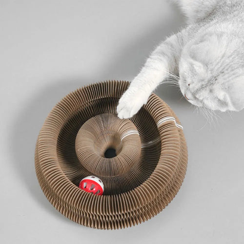 FamPets™ FlexiPlay Cat Scratcher & Lounge