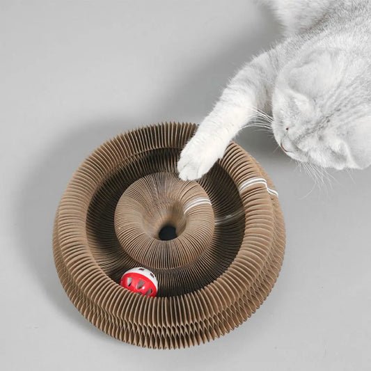 FamPets™ FlexiPlay Cat Scratcher & Lounge