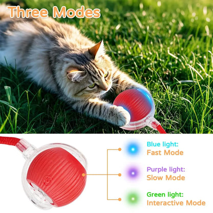 Interactive Pet Ball for Cats, Automatic Smart Spinning Ball