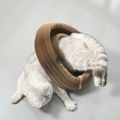 FamPets™ FlexiPlay Cat Scratcher & Lounge