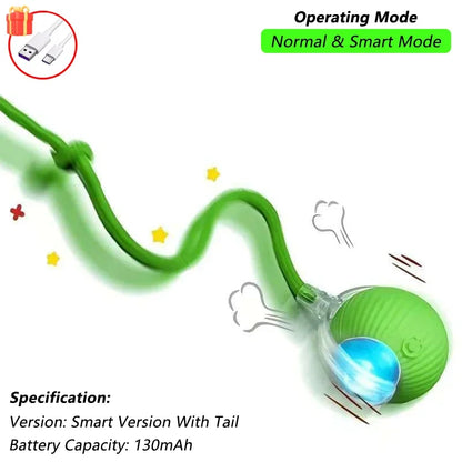 Interactive Pet Ball for Cats, Automatic Smart Spinning Ball