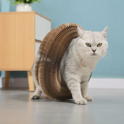FamPets™ FlexiPlay Cat Scratcher & Lounge