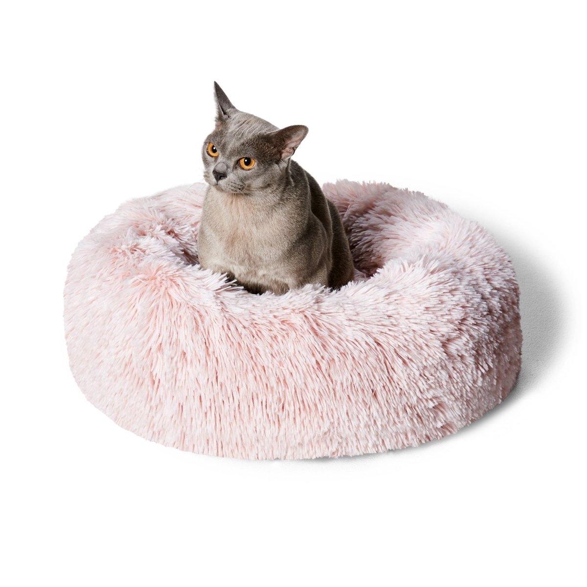Calming Cuddler Cat Bed